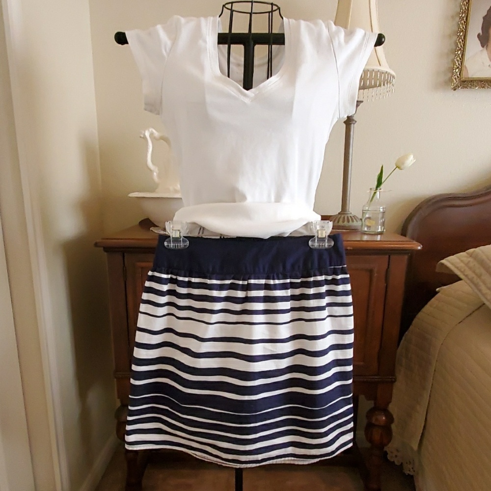 Navy & White Skirt